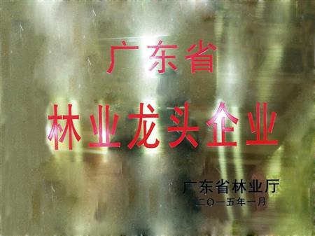    	         	2015年1月，紅古軒當(dāng)選為“廣東省林業(yè)龍頭企業(yè)”   